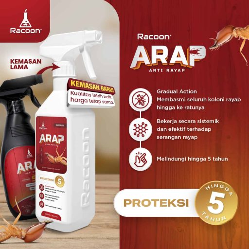racoon arap new size phopro 2 (1)